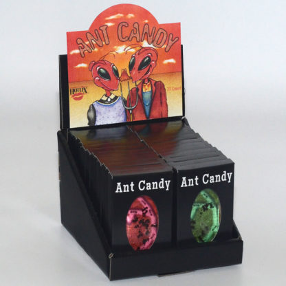 Ant Candy with Real Black Ants Box Assorted