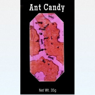 Cherry Ant Candy with Real Black Ants